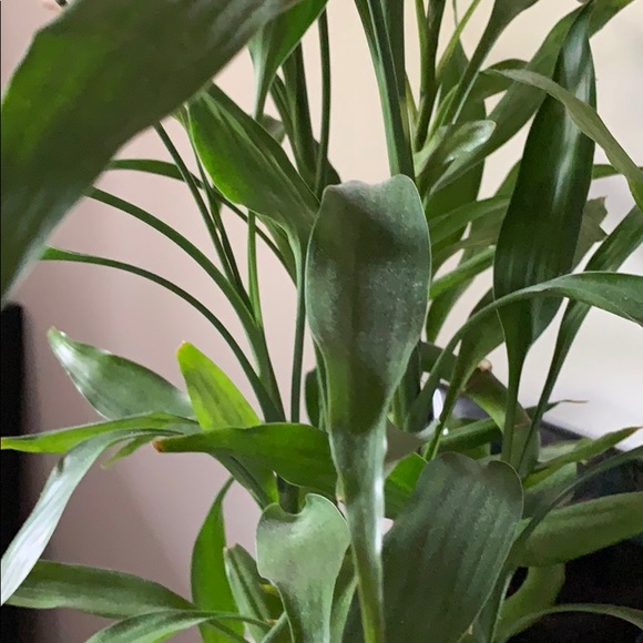 Meet your Posher, Nathalie - Picture 1 of 1